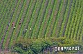 RheinMoselNeckar _027